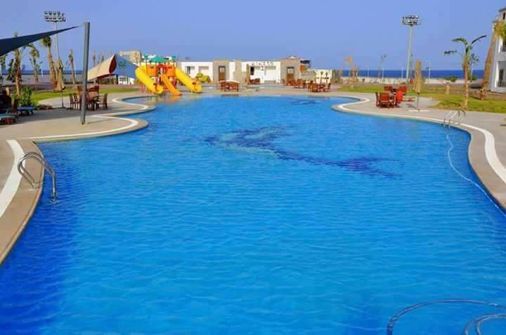 https://pyramids-tours.com/wp-content/uploads/2019/10/69396590_2616949898355734_4301207170516516864_n.jpg